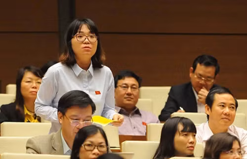 Nhiều vấn đề nóng được đại biểu nêu ra tại phiên chất vấn.