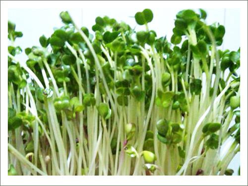 Ảnh minh hoạ: Internet