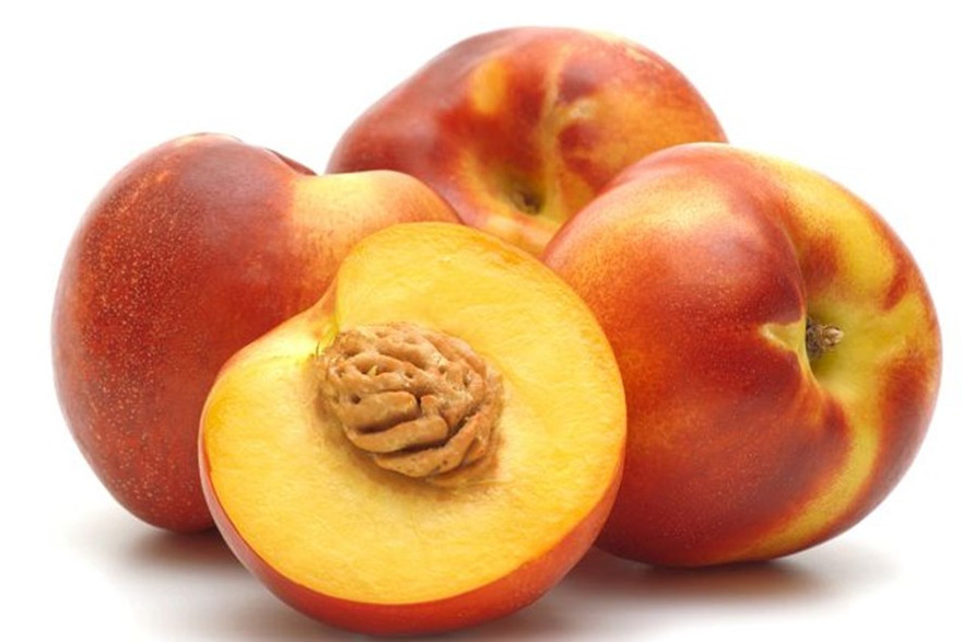 Ảnh minh hoạ: Internet