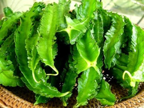 Ảnh minh hoạ: Internet