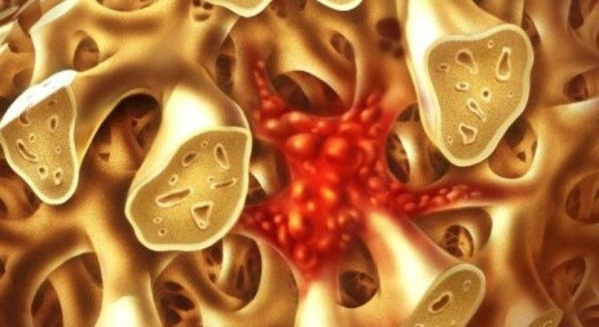 Ảnh minh hoạ: Internet