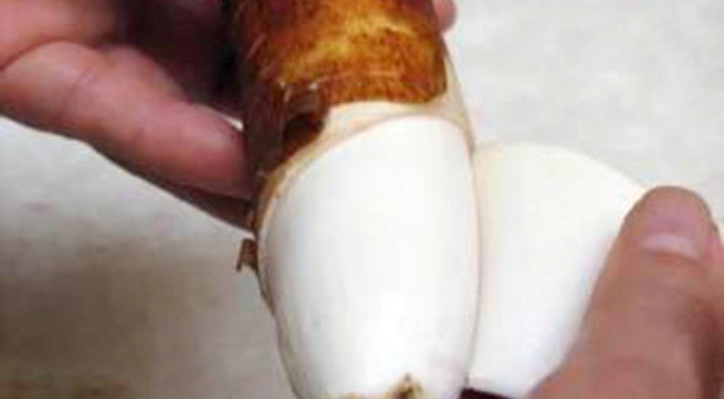 Ảnh minh họa: Internet