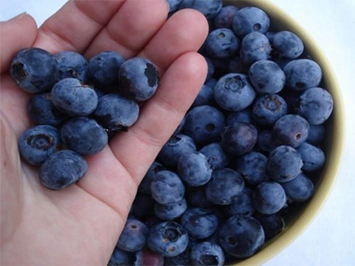 Ảnh minh hoạ: Internet