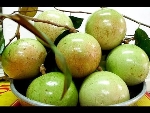 Ảnh minh hoạ: Internet