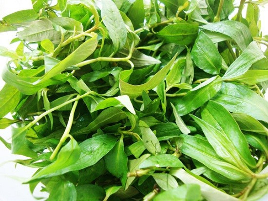 Ảnh minh hoạ: Internet