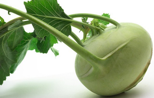 Ảnh minh hoạ: Internet