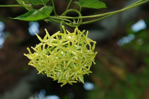 Ảnh minh họa: Internet