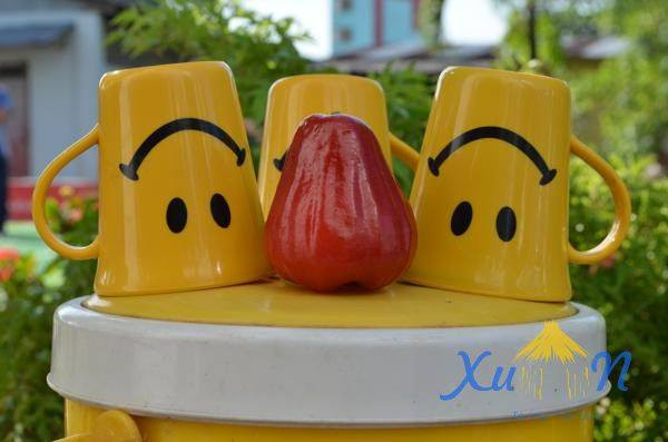 Ảnh minh hoạ: Internet