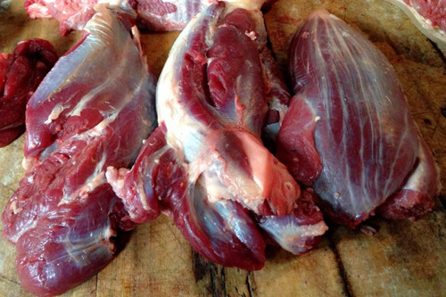 Ảnh minh họa: Internet