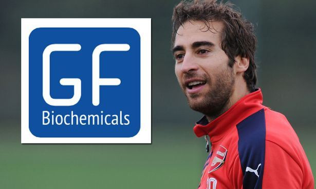 Flamini sẵn sàng đầu tư vào Arsenal nếu có cơ hội.
