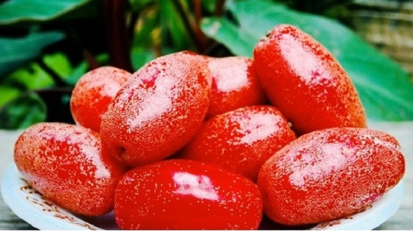 Ảnh minh hoạ: Internet