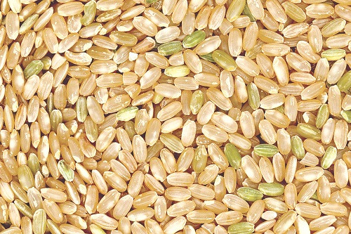 Ảnh minh hoạ: Internet