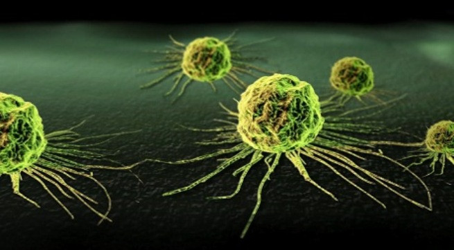 Ảnh minh họa: Internet