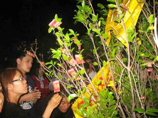 Ảnh minh họa: Internet