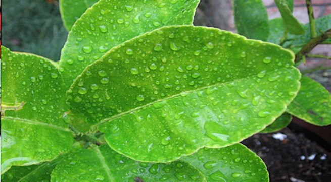 Ảnh minh họa: Internet