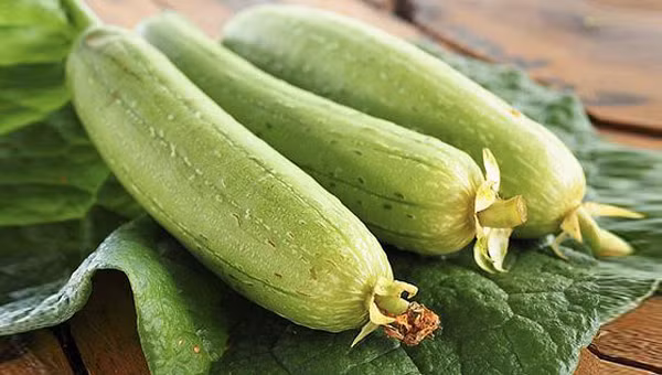 Ảnh minh họa: Internet