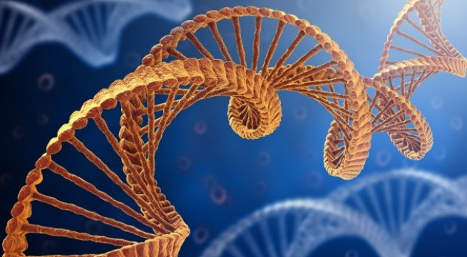 Ảnh minh họa: Internet