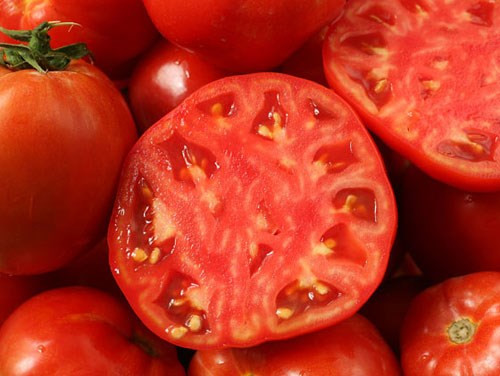 Ảnh minh họa: Internet