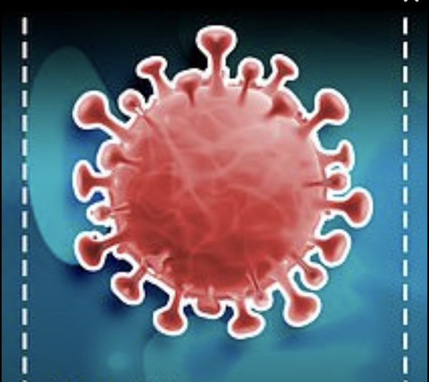 Biến thể P.1 của SARS-CoV-2 có tốc độ lây lan cao hơn và làm vắc xin COVID-19 kém hiệu quả hơn.