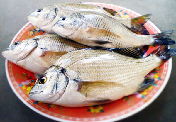 Ảnh minh họa: Internet