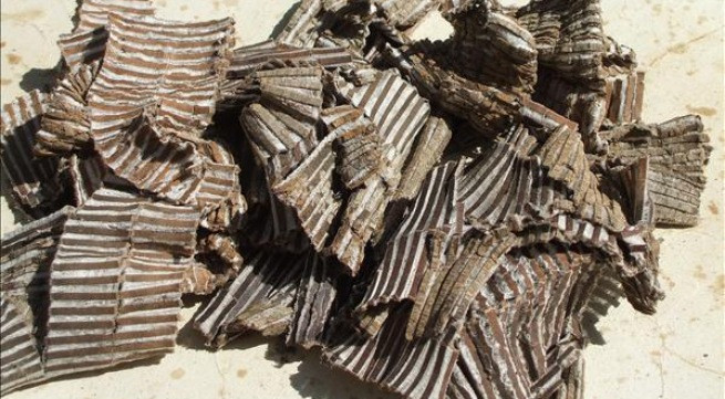 Ảnh minh họa: Internet