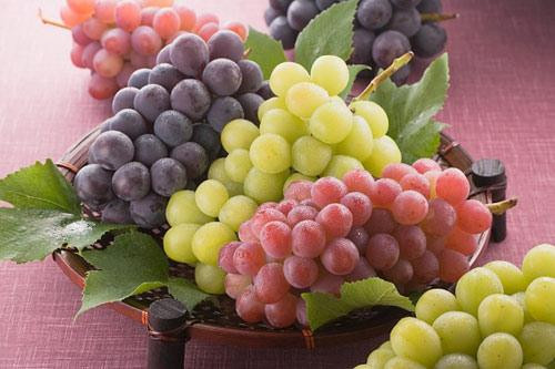 Ảnh minh hoạ: Internet