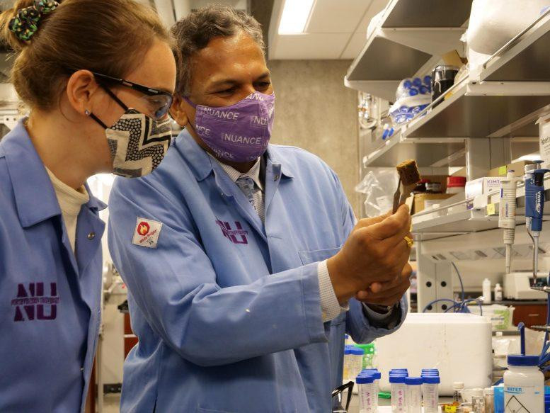 Hai tác giả nghiên cứu màng PEARL để lọc bỏ phốt phát và thu hội lại nó trong phòng thí nghiệm.