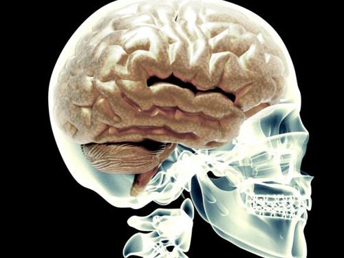 Ảnh minh họa: Internet