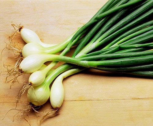 Ảnh minh hoạ: Internet