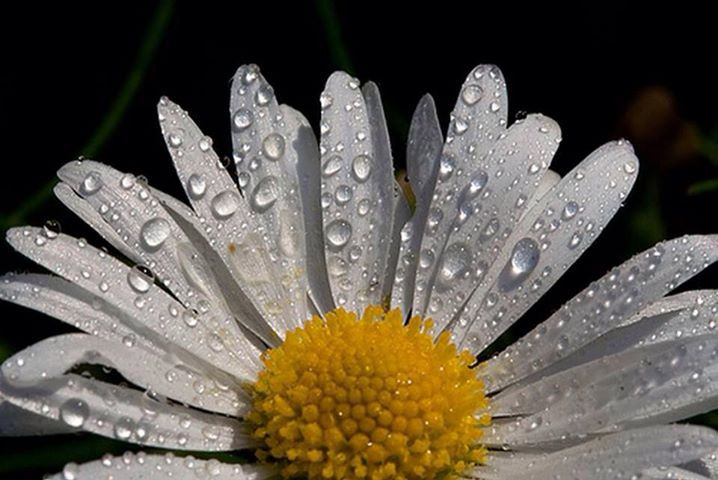 Ảnh minh họa: Internet