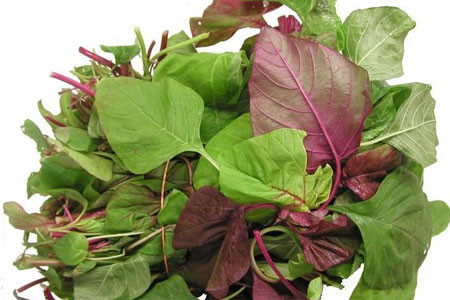 Ảnh minh hoạ: Internet