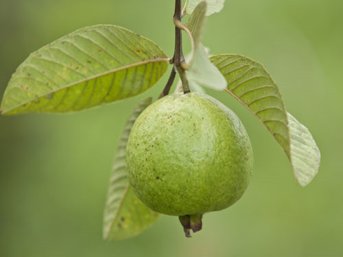 Ảnh minh hoạ: Internet