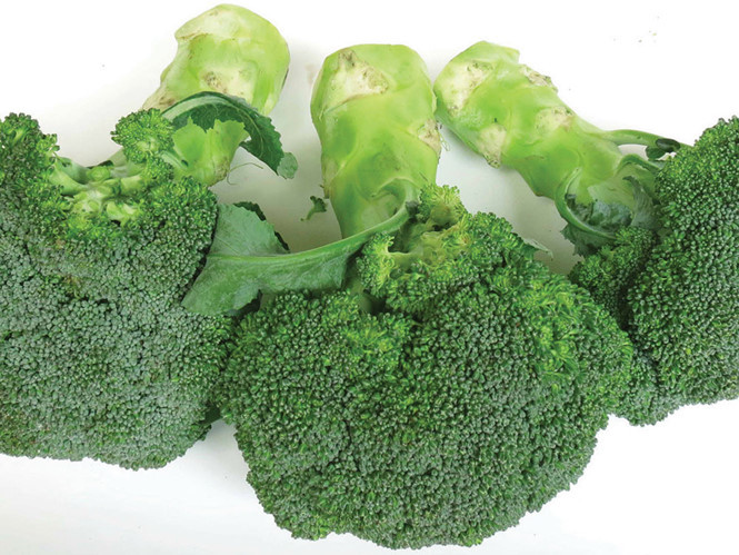 Ảnh minh hoạ: Internet