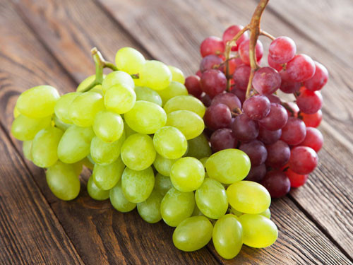 Ảnh minh hoạ: Internet