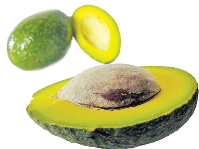 Ảnh minh hoạ: Internet