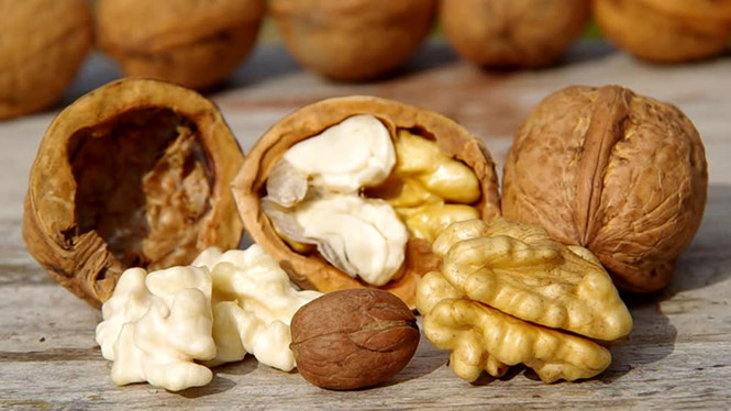 Ảnh minh hoạ: Internet