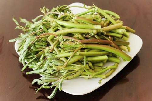 Ảnh minh hoạ: Internet