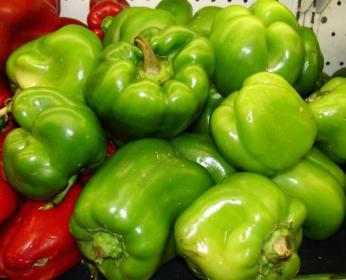 Ảnh minh hoạ: Internet