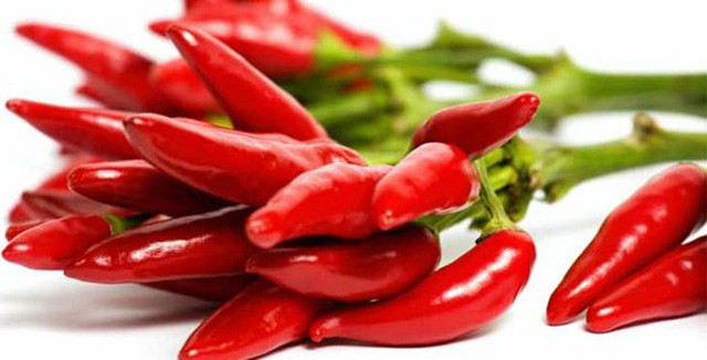 Ảnh minh họa: Internet