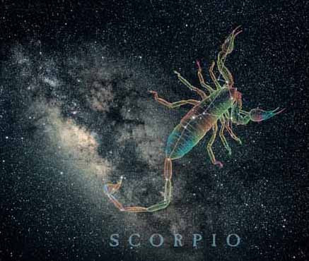 Ảnh minh họa: Internet