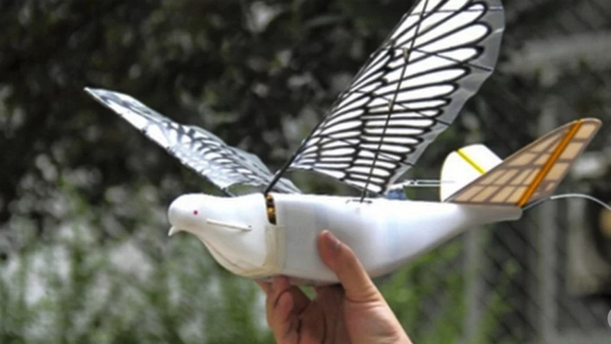 Máy bay không người lái hình chim bồ câu.