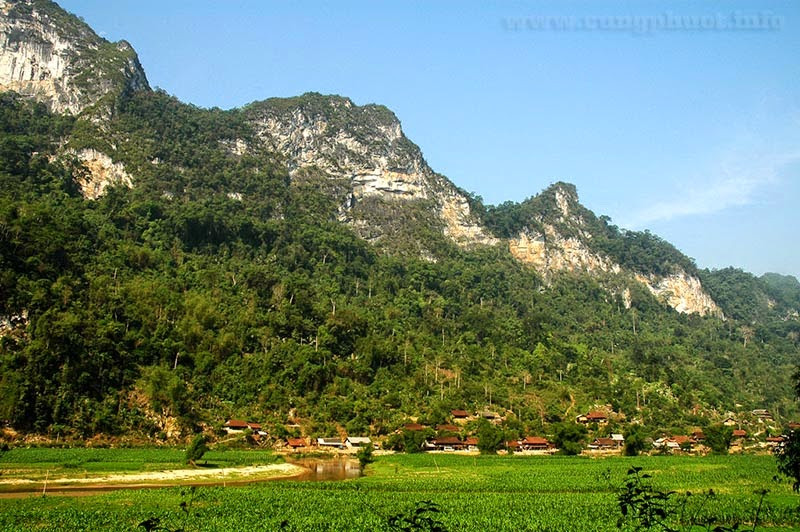 Ảnh minh họa: Internet