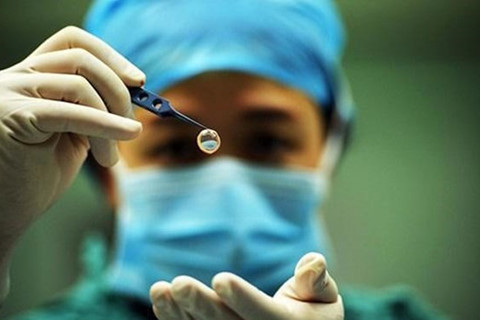 Ảnh minh hoạ: Internet