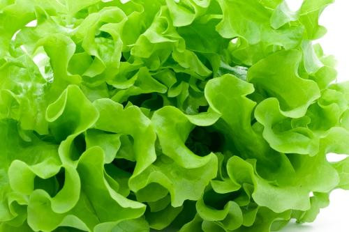 Ảnh minh hoạ: Internet