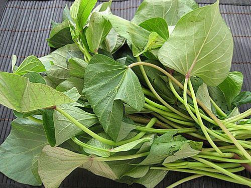 Ảnh minh hoạ: Internet