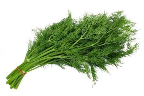 Ảnh minh hoạ: Internet