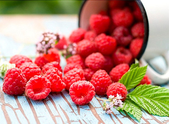 Ảnh minh hoạ: Internet