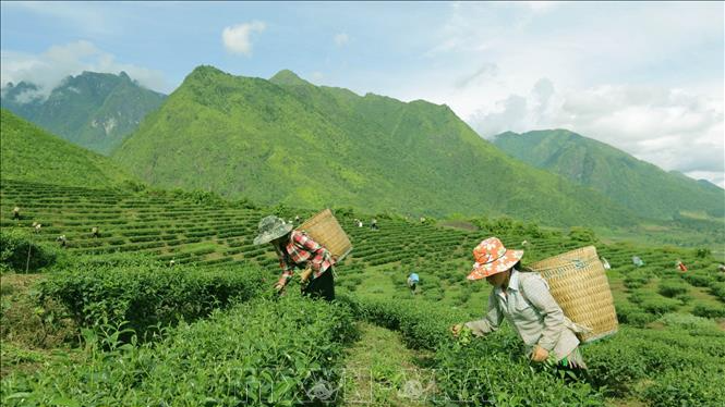 Tìm kiếm cơ hội việc làm phi nông nghiệp cho đồng bào dân tộc thiểu số