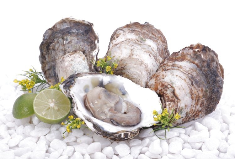 Ảnh minh họa: Internet