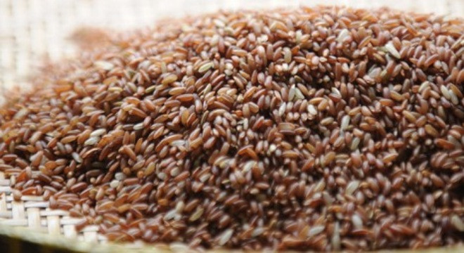 Ảnh minh họa: Internet